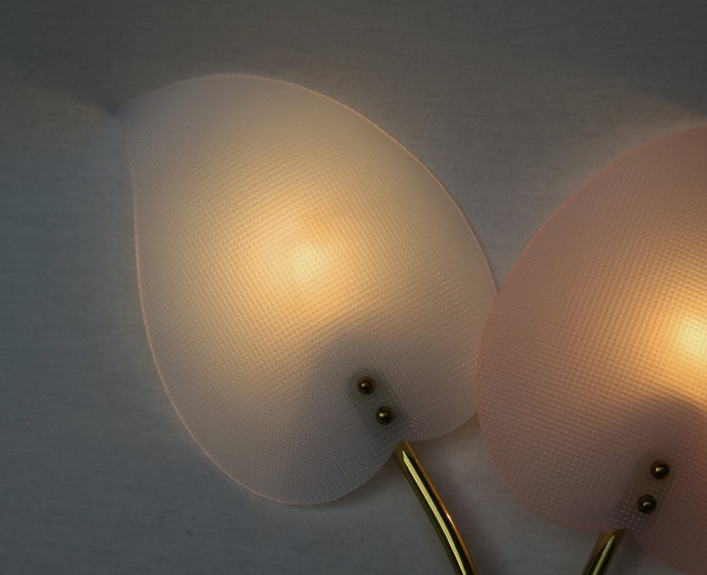 Floral Wall Lights in Acrylic Glass & Brass from Geru Lights, 1950s, Set of 2