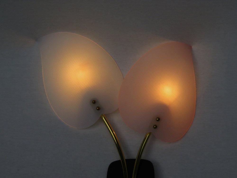 Floral Wall Lights in Acrylic Glass & Brass from Geru Lights, 1950s, Set of 2