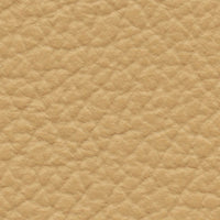 Florida Panther (VP517)