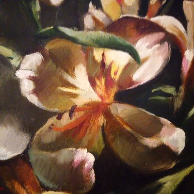 Flowers - Oil on Canvas - Francesca Strino - Italy-YUW-912581