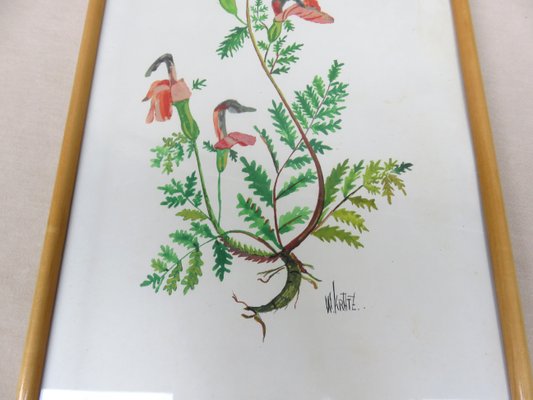 Flowers Watercolor by W. Kratz, 1950s, Set of 4-EY-716926