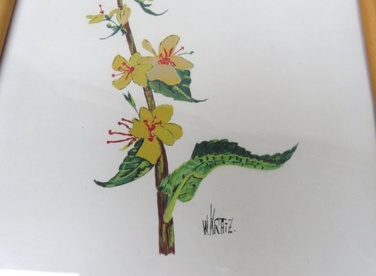 Flowers Watercolor by W. Kratz, 1950s, Set of 4-EY-716926