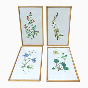 Flowers Watercolor by W. Kratz, 1950s, Set of 4-EY-716926