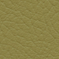 Flying Dutchman (AU655)