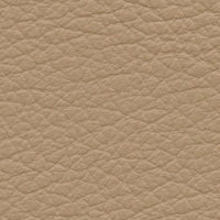 Flying Wing (VP4017)