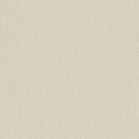 Focus 60209