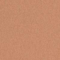 Focus 61035