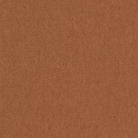 Focus 61036