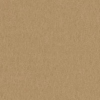 Focus 61039