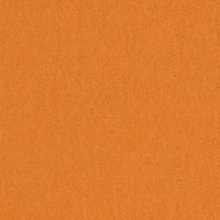 Focus 63133