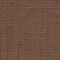 Focus Royal 61535