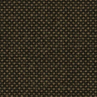 Focus Royal 61537