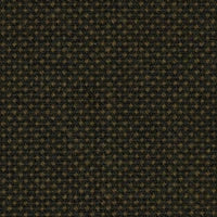 Focus Royal 61538