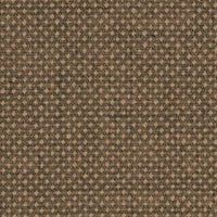 Focus Royal 61539