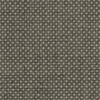 Focus Royal 61540