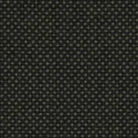 Focus Royal 61543