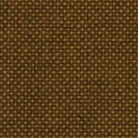 Focus Royal 62518