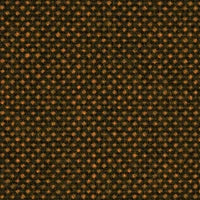 Focus Royal 62618