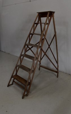 Foldable Beech Business Stepladder, 1940s-RVK-1431806