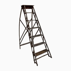 Foldable Beech Business Stepladder, 1940s-RVK-1431806