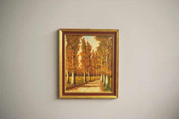 Forest in Autumn, Oil on Canvas, Framed-KNM-1285417