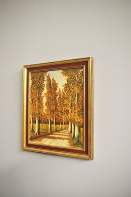 Forest in Autumn, Oil on Canvas, Framed-KNM-1285417