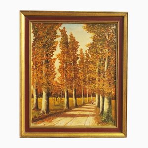 Forest in Autumn, Oil on Canvas, Framed-KNM-1285417