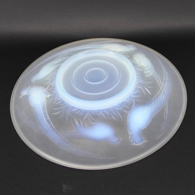 Fountain or Decorative Dish in Opalescent Glass with Pheasants-NE-960660