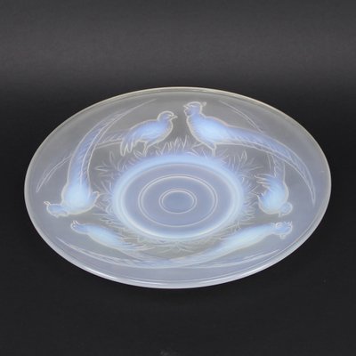 Fountain or Decorative Dish in Opalescent Glass with Pheasants-NE-960660