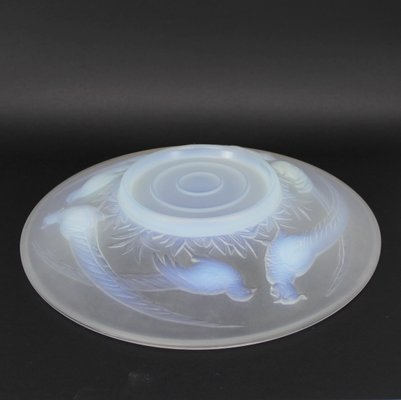 Fountain or Decorative Dish in Opalescent Glass with Pheasants-NE-960660