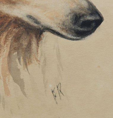 Frederick Roe, Portrait of Collie Dog, 1920-1930, Watercolor-ARU-1386439