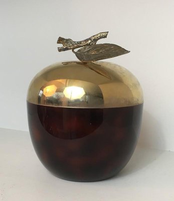 French Apple Ice Bucket in Acrylic Glass, Gilt Metal and Plastic, 1970s-BA-658351