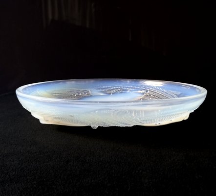 French Art Deco Bowl in Opalescent Glass by P. d'Avesn, 1920s-FPY-1801057