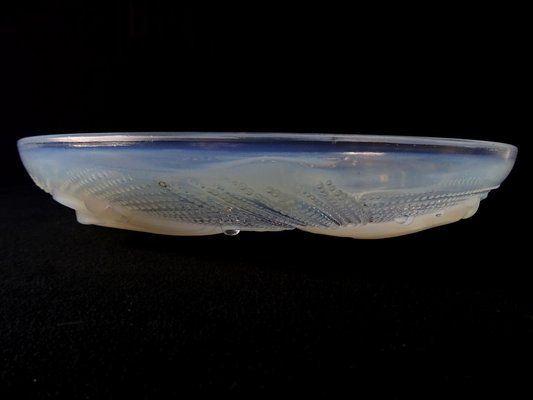 French Art Deco Bowl in Opalescent Glass by P. d'Avesn, 1920s-FPY-1801057