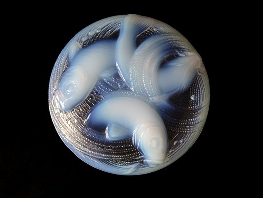 French Art Deco Bowl in Opalescent Glass by P. d'Avesn, 1920s-FPY-1801057