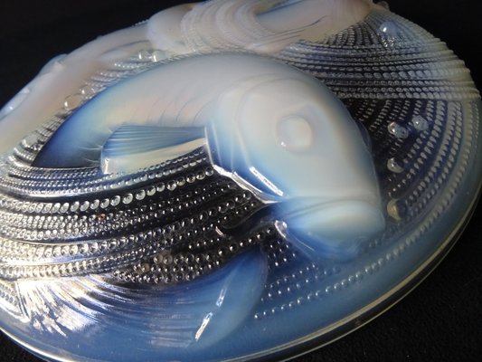 French Art Deco Bowl in Opalescent Glass by P. d'Avesn, 1920s-FPY-1801057