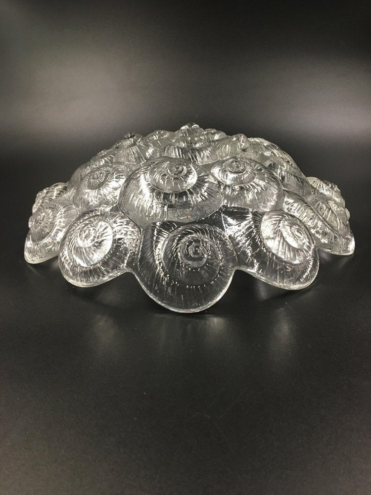 French Art Deco Glass Bowl with Shells and Fossil Motif, 1930s