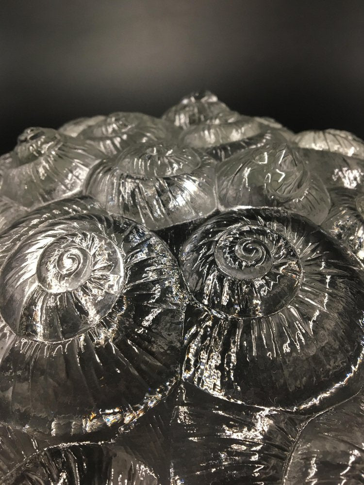 French Art Deco Glass Bowl with Shells and Fossil Motif, 1930s