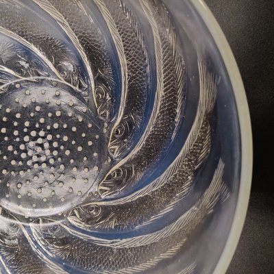 French Art Deco Opalescent Glass Bowl with Fishes in Circular Pattern by René Lalique, 1920s-SAK-1794323