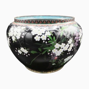 French Black Decorated Cloisonné Vase, 1900s-RCE-1444647