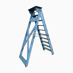 French Blue Painted Step Ladder, 1940s-WZZ-1754461