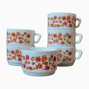 French Bohemian Mugs from Arcopal, Set of 6-AIU-1336558