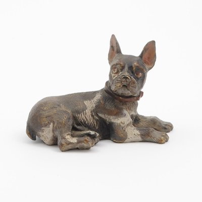 French Bulldog Figurine from Wiener Bronze, 1900-AOU-1438406