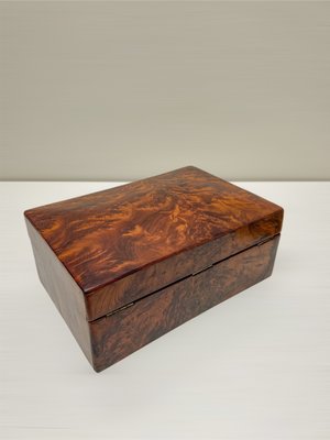 French Burl Wood Storage Box, 1960s-WZZ-2023605