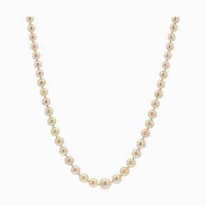 French Cream Cultured Pearl Falling Necklace-OLU-981473