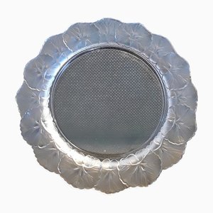 French Crystal Glass Plate with Frosted Flower Wreath and Polished Base from Lalique, 1970s-HOI-1235814