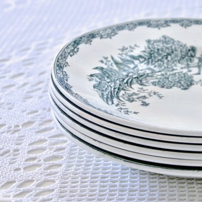 French Daisy Plates from St Amand, 1920, Set of 6-SHG-2038129