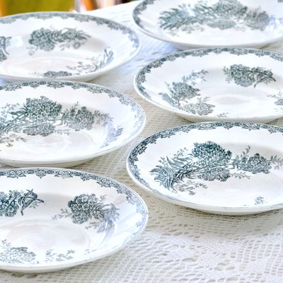 French Daisy Plates from St Amand, 1920, Set of 6-SHG-2038129