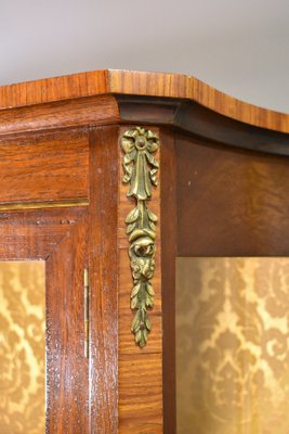 French Display Cabinet in Walnut and Sapele Mahogany, 1950s-CTD-1477143