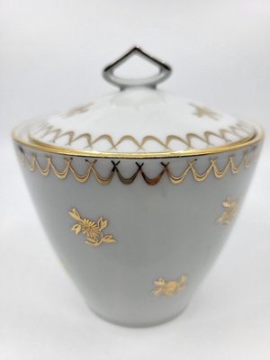 French Empire Style Porcelain Tea Service Decorated with Fine Gold from Sologne, 20th Century, Set of 15-QCI-2034725